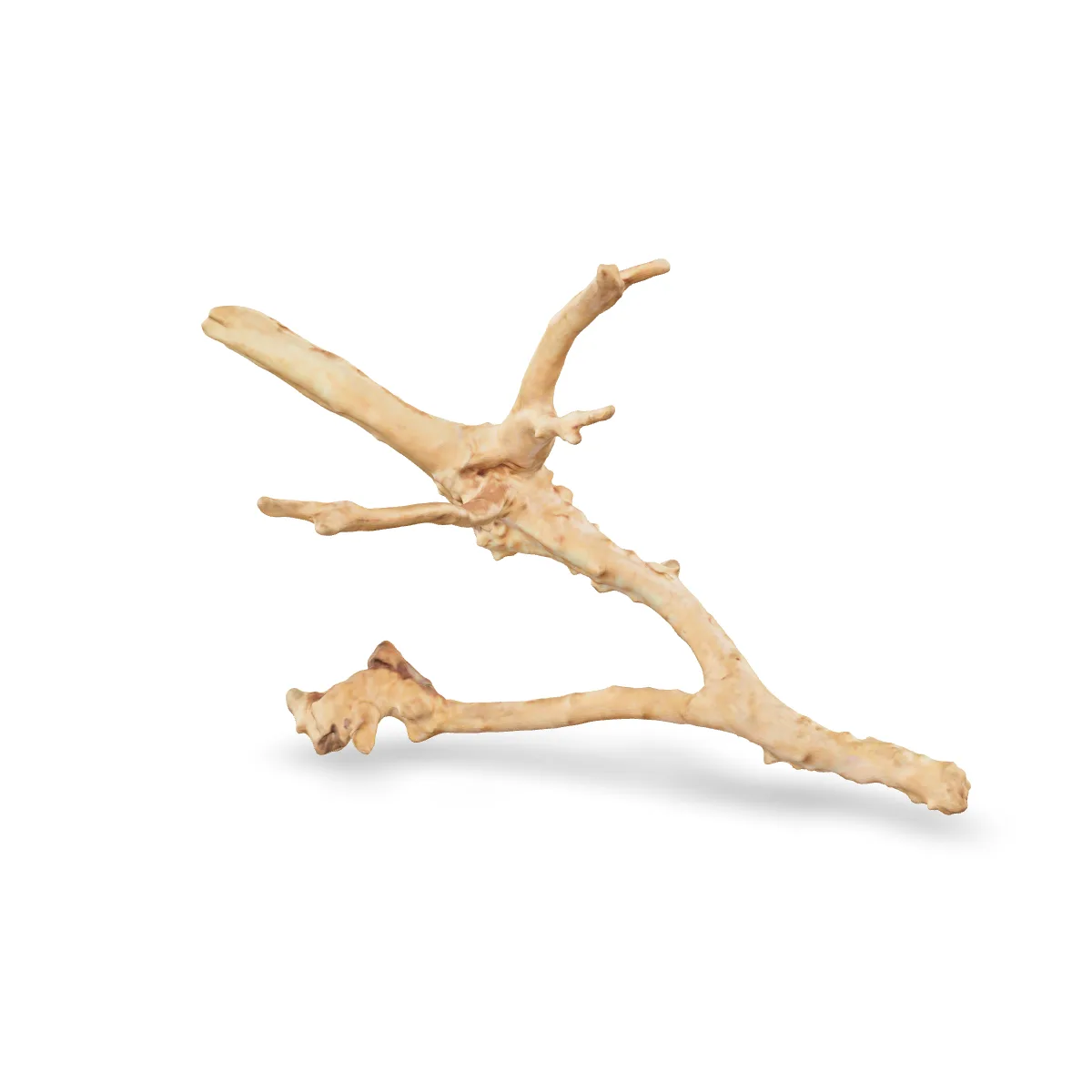 Rote Moorwurzel - Finger Wurzel 3D Nr. 945 (36x25x15cm)