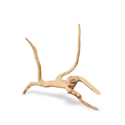 Rote Moorwurzel - Finger Wurzel 3D Nr. 948 (25x27x16cm)