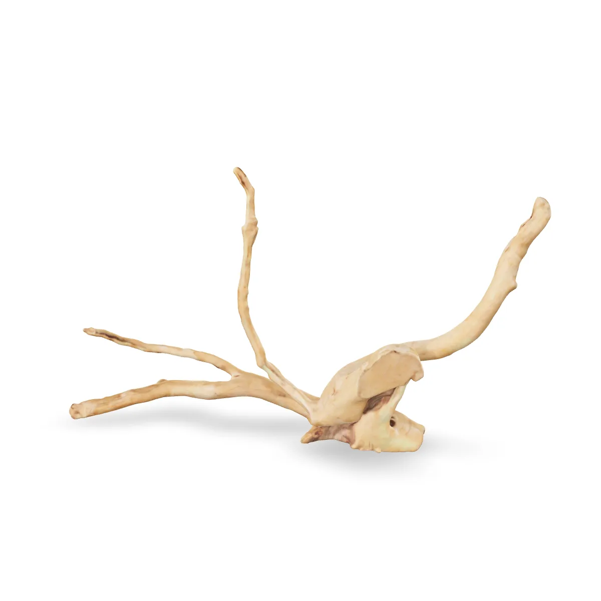 Rote Moorwurzel - Finger Wurzel 3D Nr. 957 (44x27x15cm)