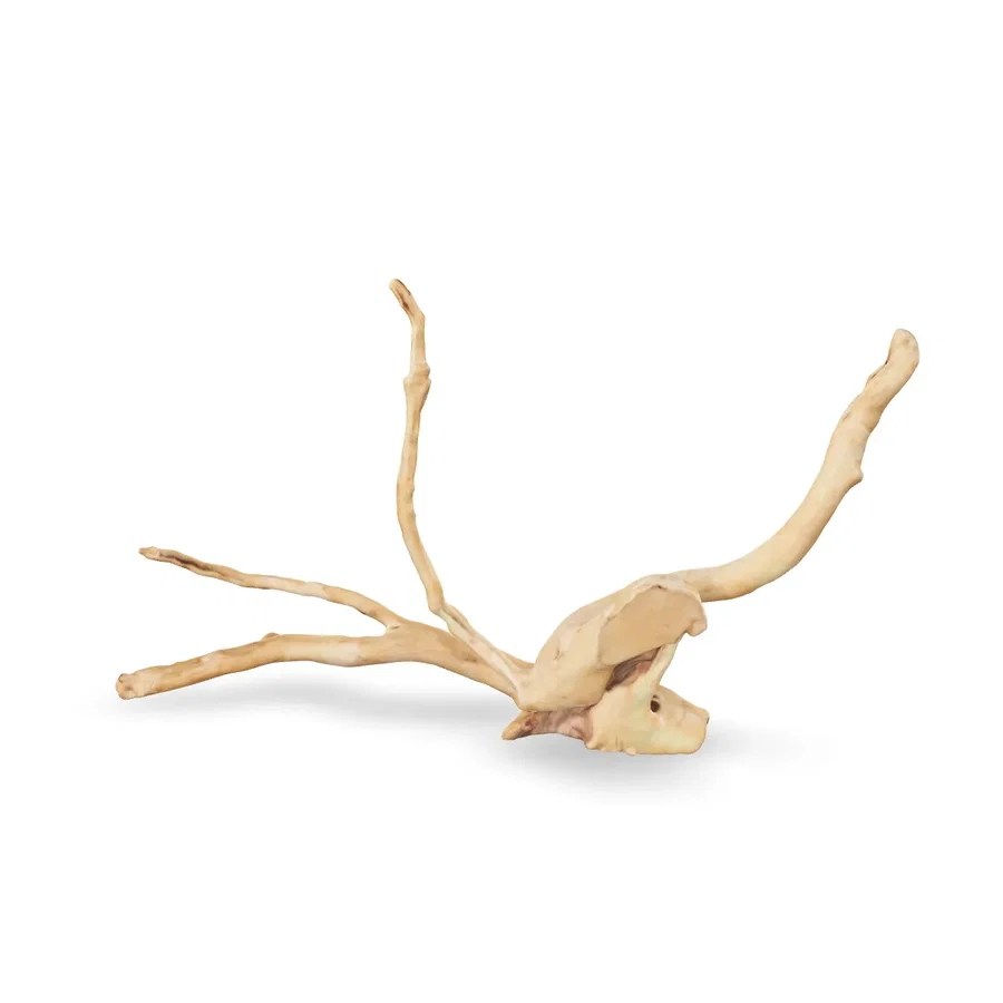 Rote Moorwurzel - Finger Wurzel 3D Nr. 957 (44x27x15cm)