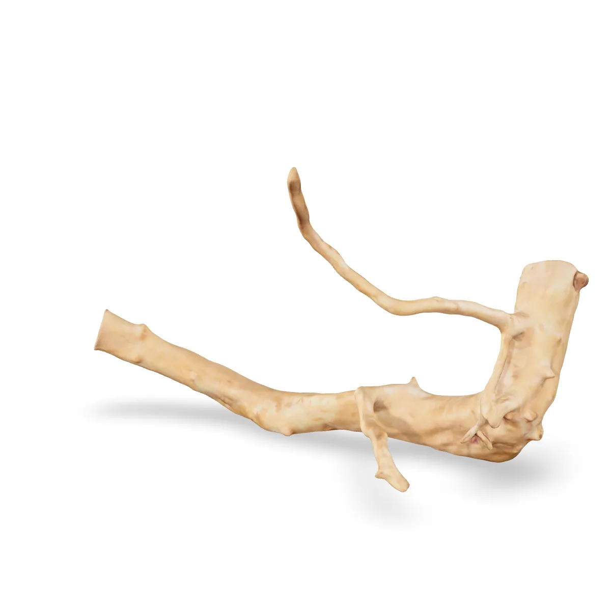 Rote Moorwurzel - Finger Wurzel 3D Nr. 962 (29x15x16cm)