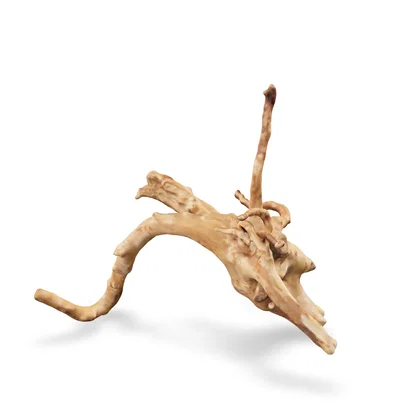 Rote Moorwurzel - Finger Wurzel 3D Nr. 963 (20x18x22cm)