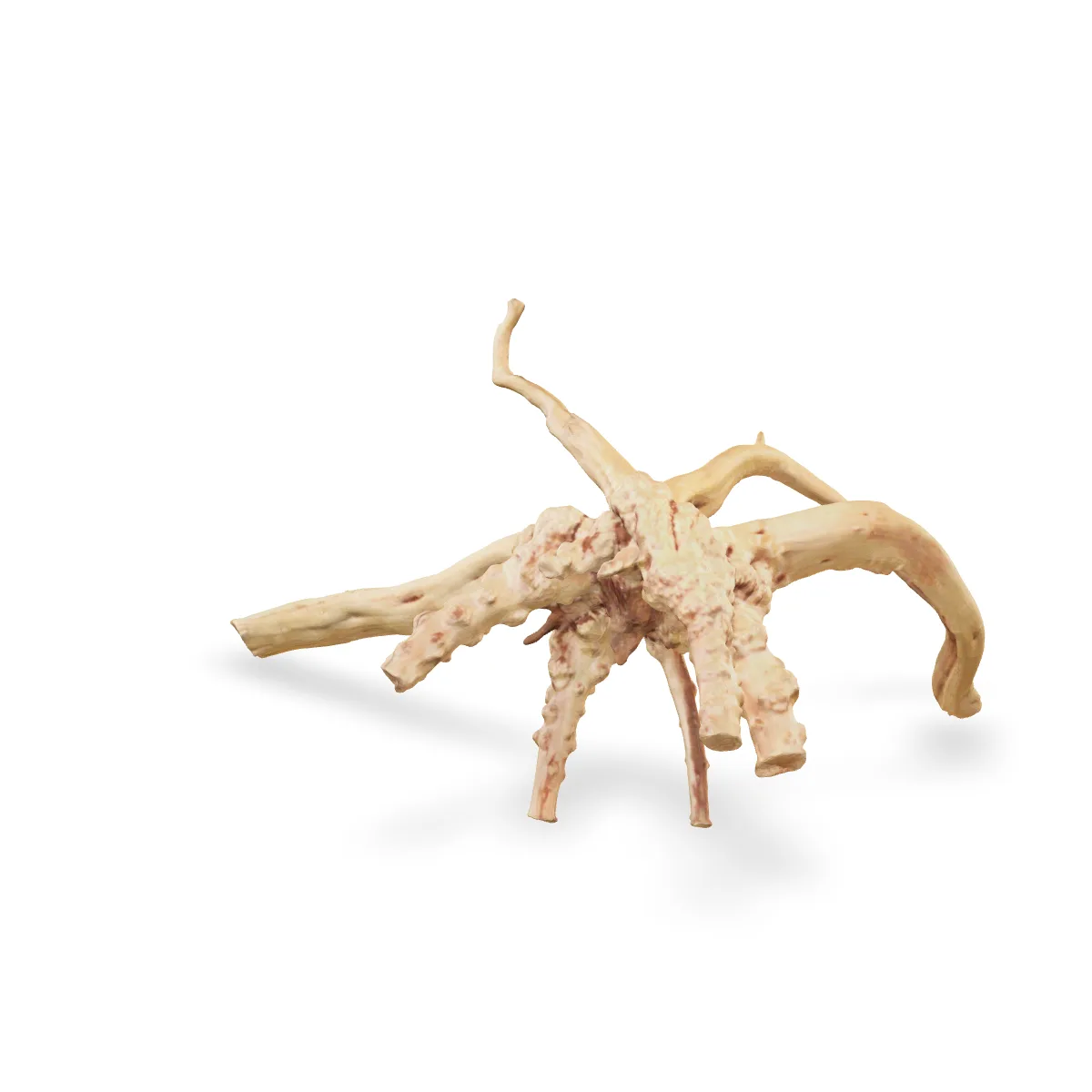 Rote Moorwurzel - Finger Wurzel 3D Nr. 971 (40x27x20cm)