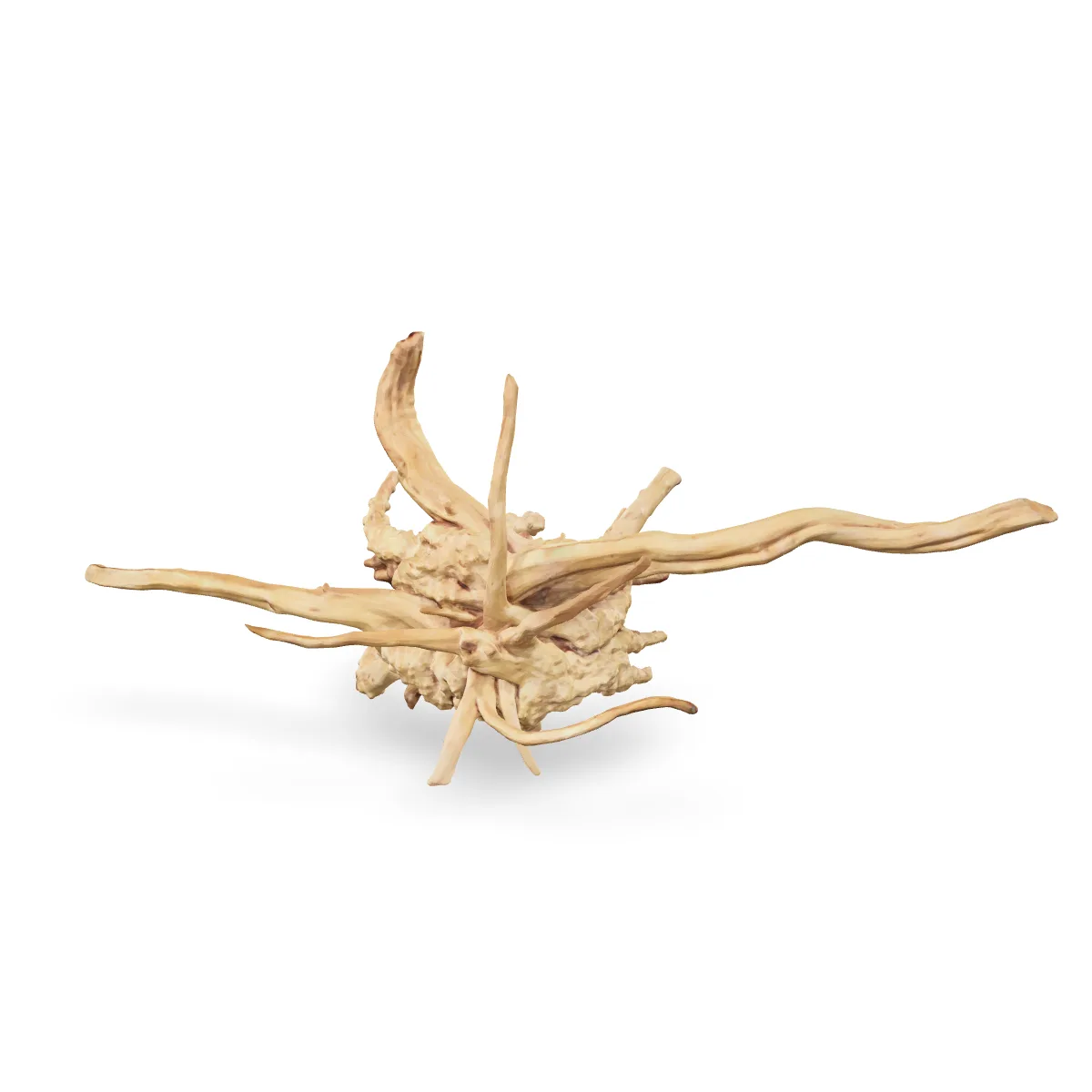 Rote Moorwurzel - Finger Wurzel 3D Nr. 973 (63x28x23cm)