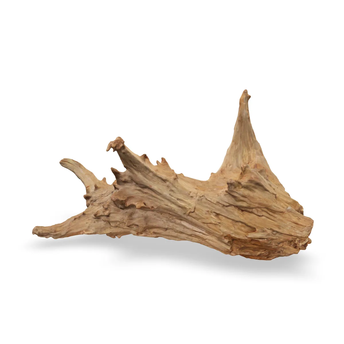 Taiga-Wurzel 3D Nr. 1488 (52x28x32cm)