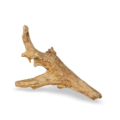 Taiga-Wurzel 3D Nr. 1490 (55x21x39cm)