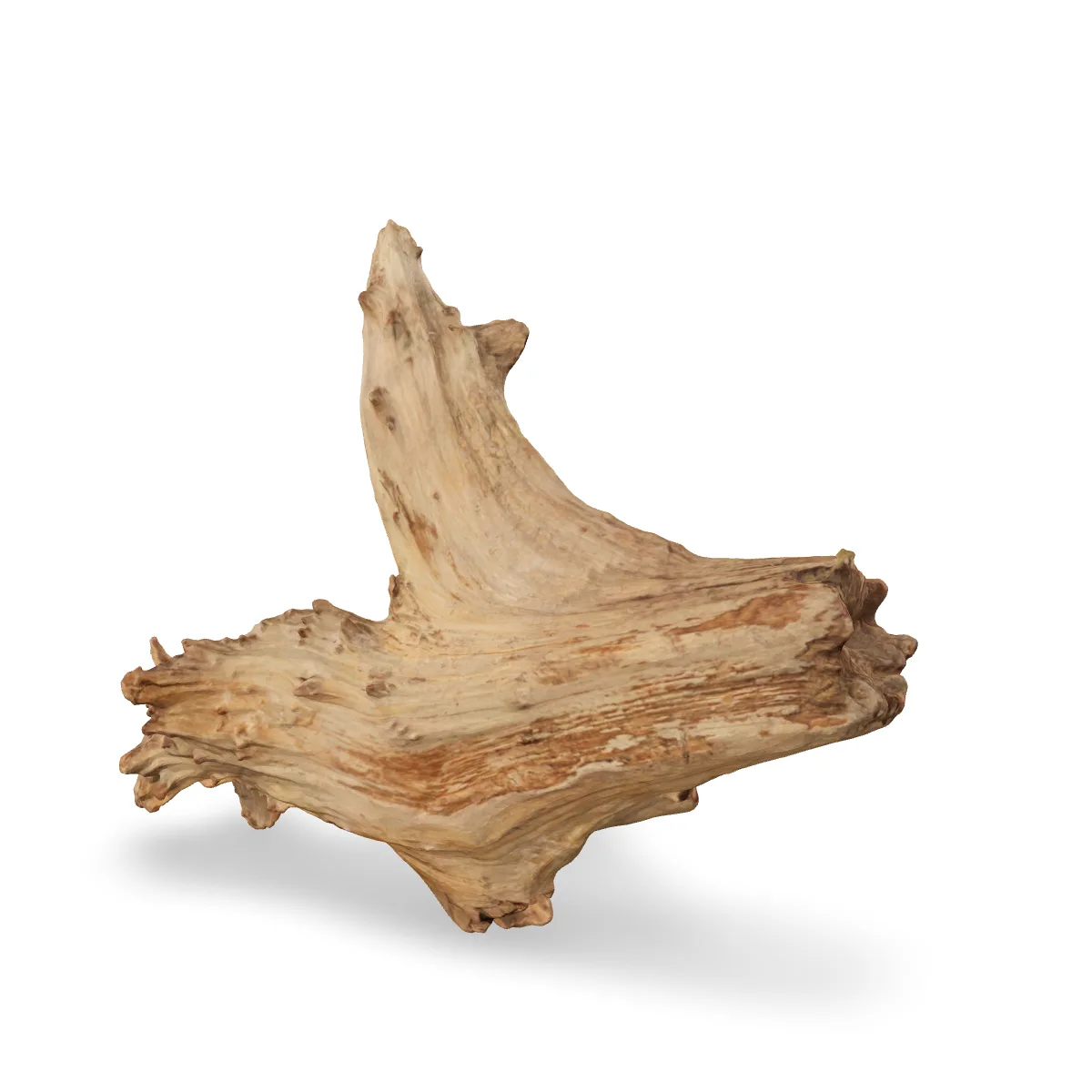 Taiga-Wurzel 3D Nr. 1492 (61x51x41cm)