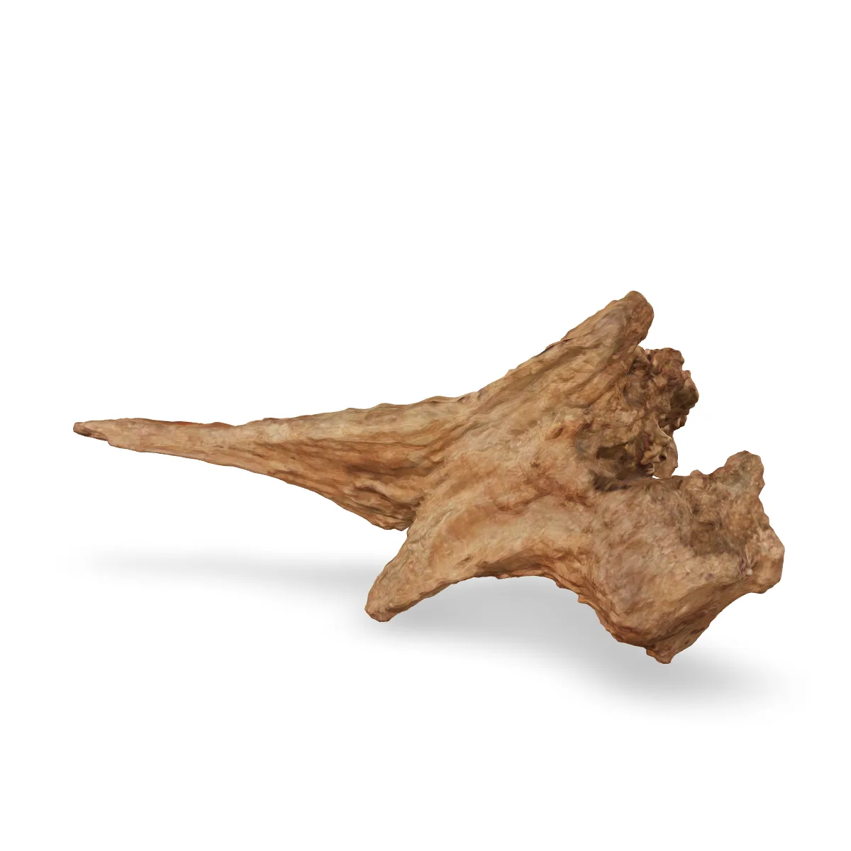 Taiga-Wurzel 3D Nr. 1493 (55x30x28cm)