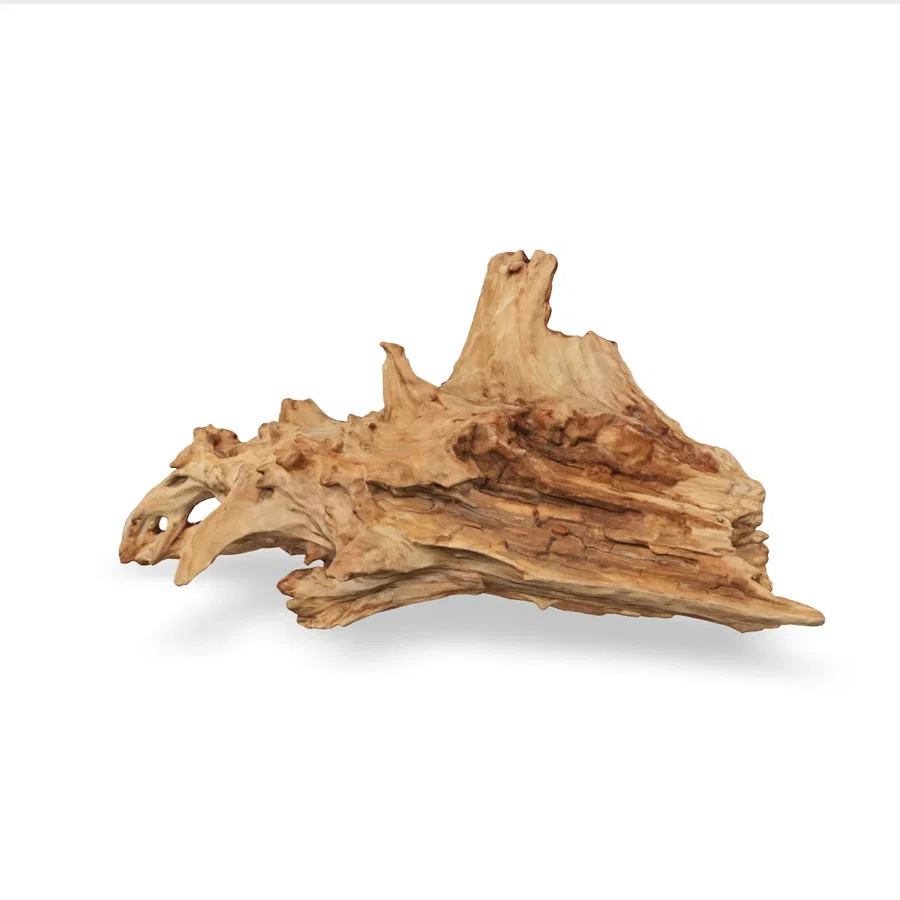 Taiga-Wurzel 3D Nr. 1496 (59x31x23cm)