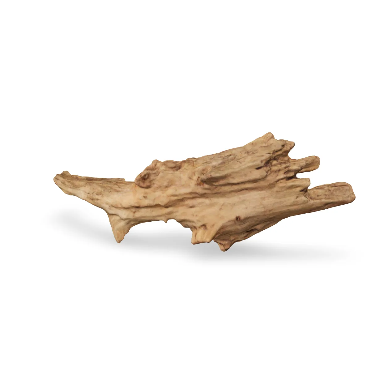 Taiga-Wurzel 3D Nr. 1498 (40x11x15cm)