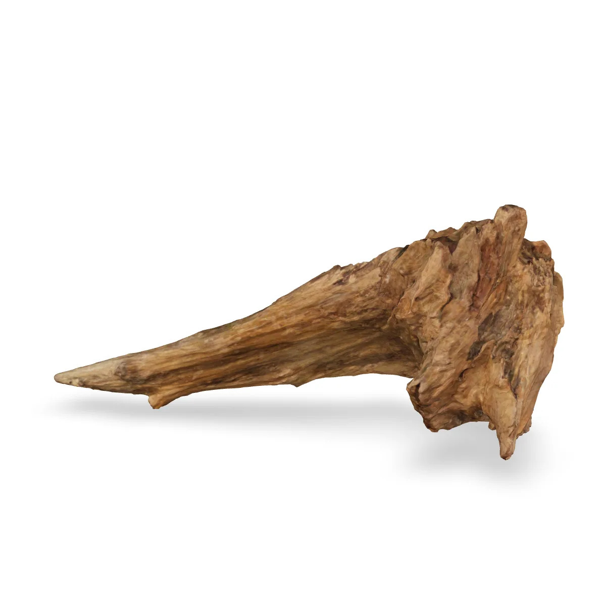 Taiga-Wurzel 3D Nr. 1503 (58x29x19cm)