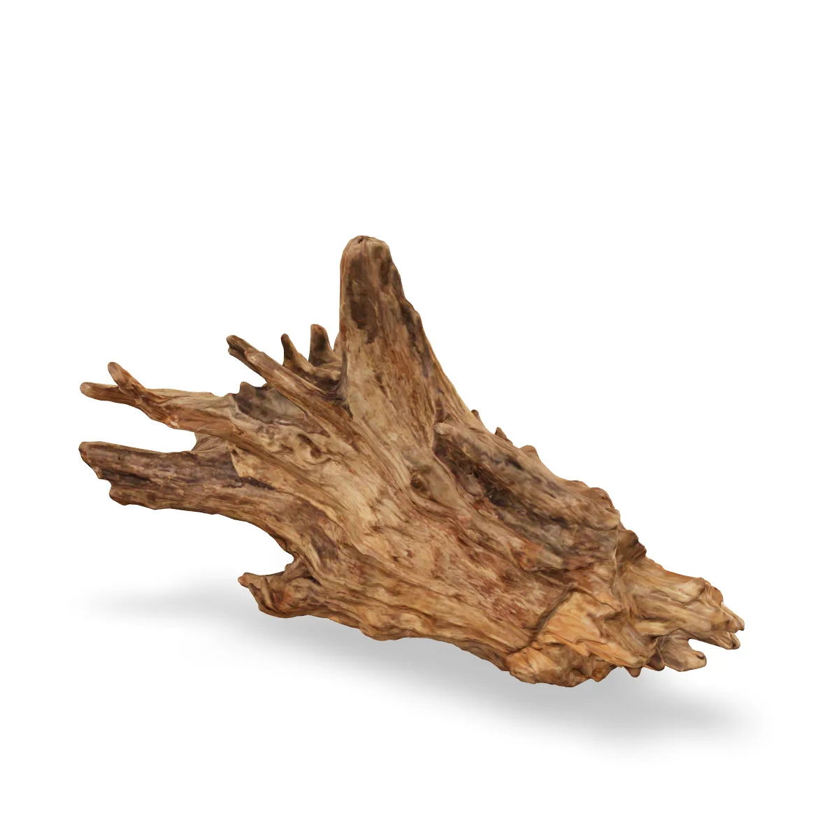 Taiga-Wurzel 3D Nr. 1504 (46x34x22cm)