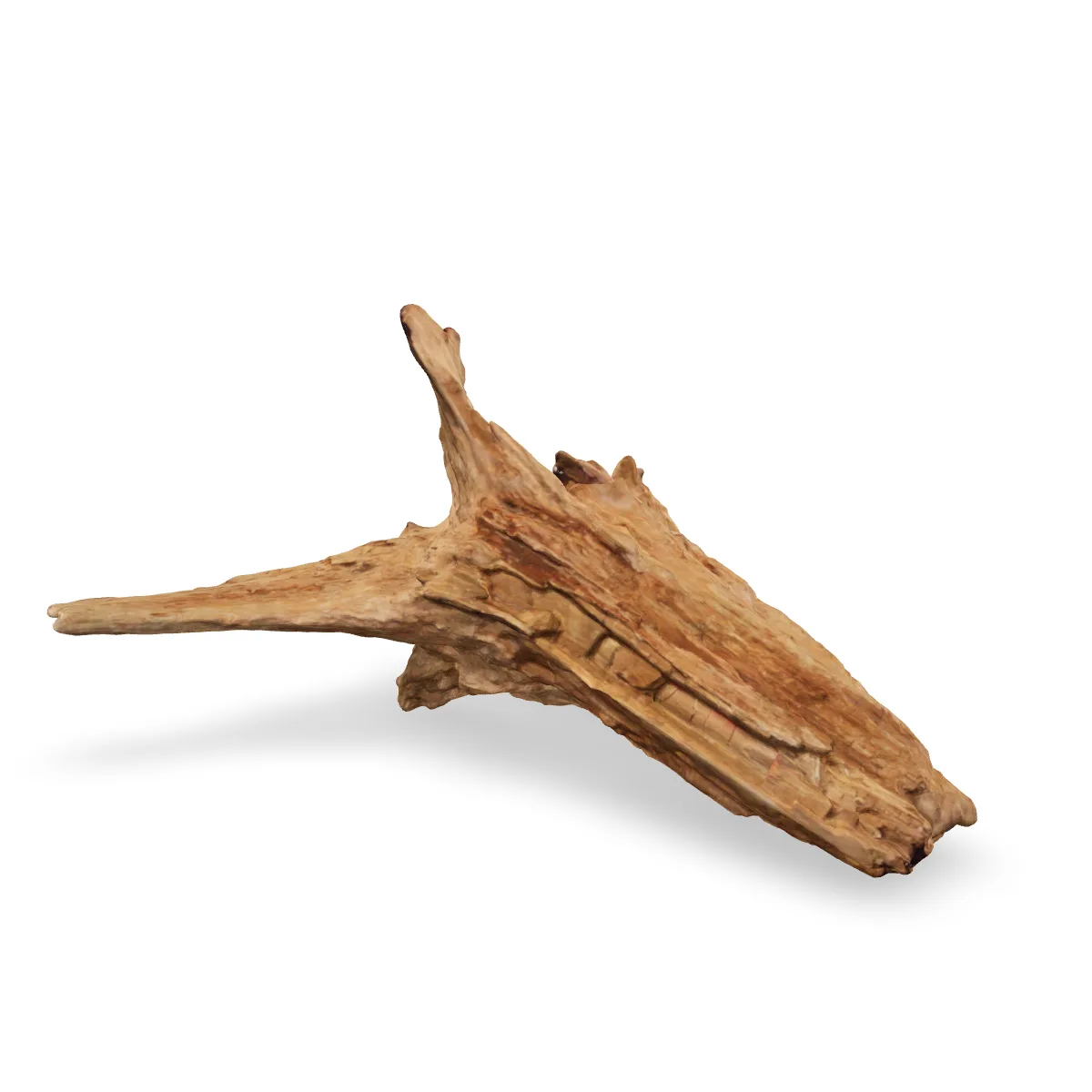 Taiga-Wurzel 3D Nr. 1507 (55x28x26cm)