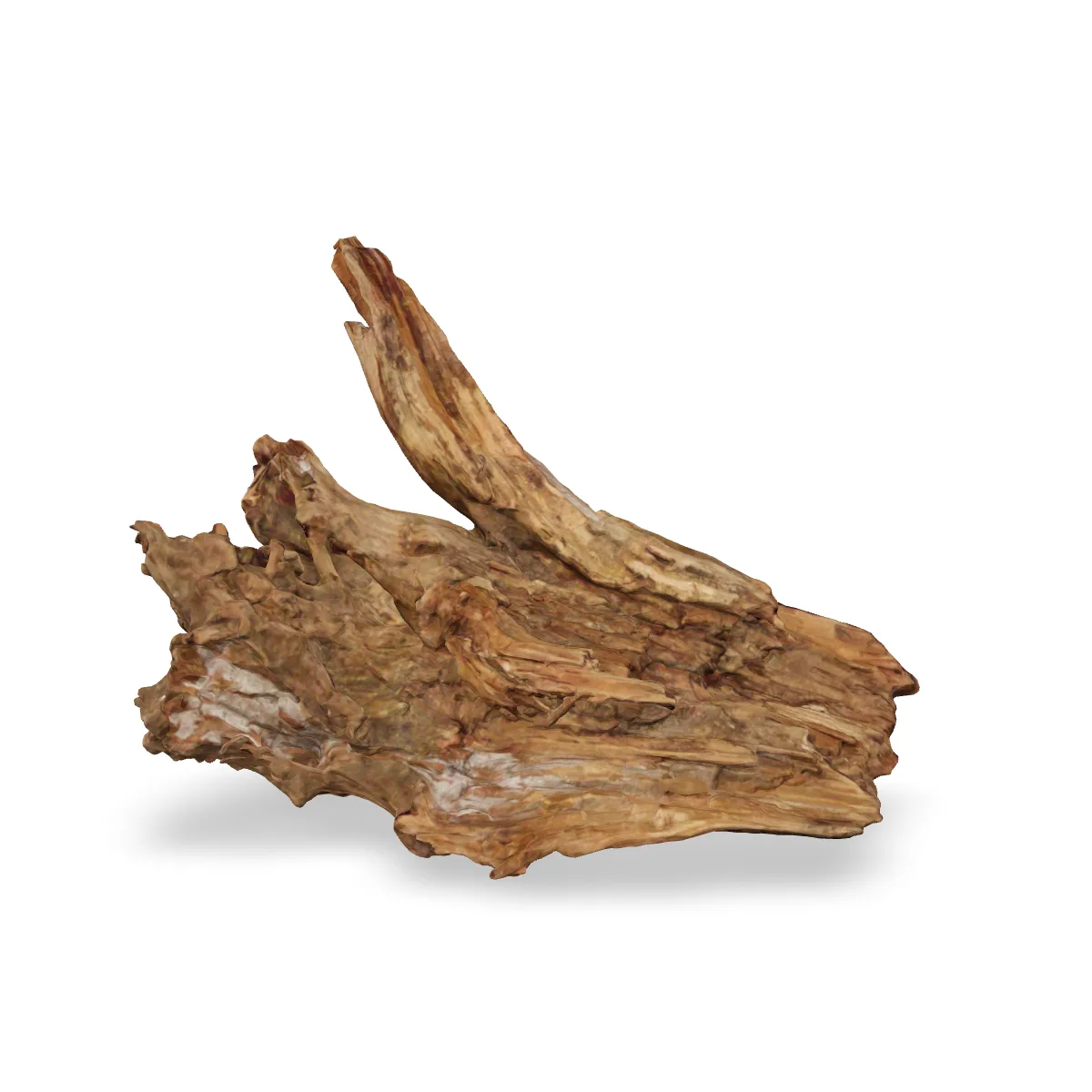Taiga-Wurzel 3D Nr. 1512 (35x37x24cm)
