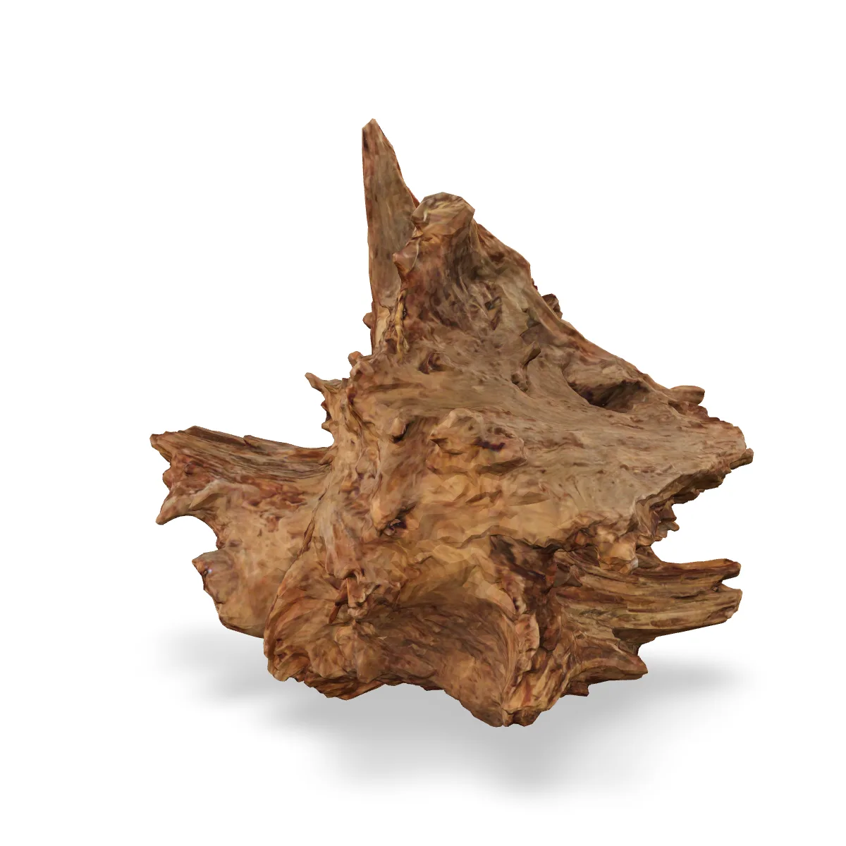 Taiga-Wurzel 3D Nr. 1521 (40x39x26cm)