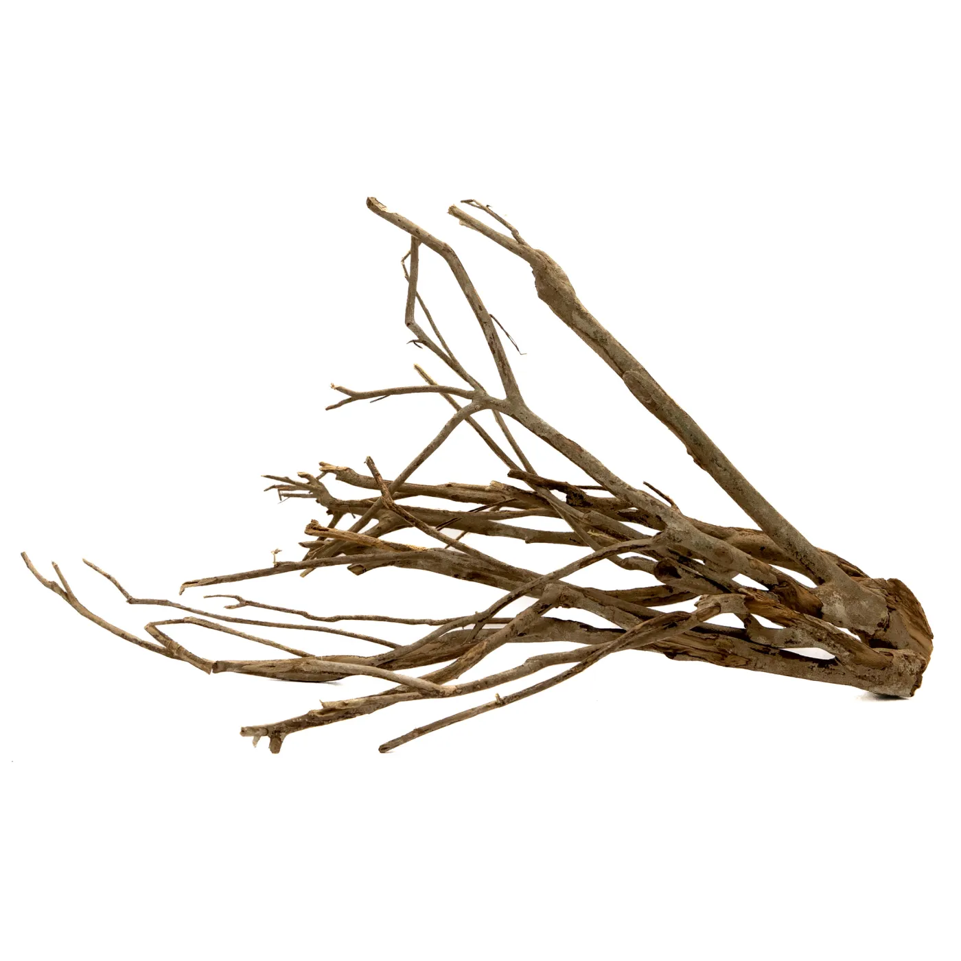Talawa-Holz