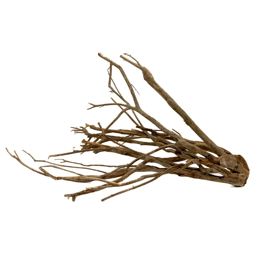 Talawa-Holz