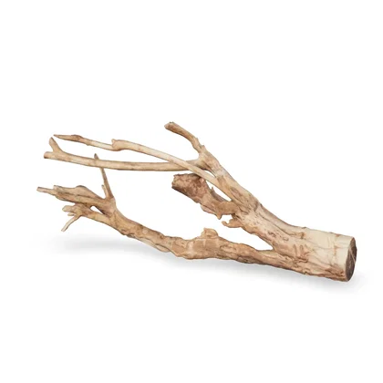 Talawawurzel 3D Nr. 1058 (60x28x11cm)