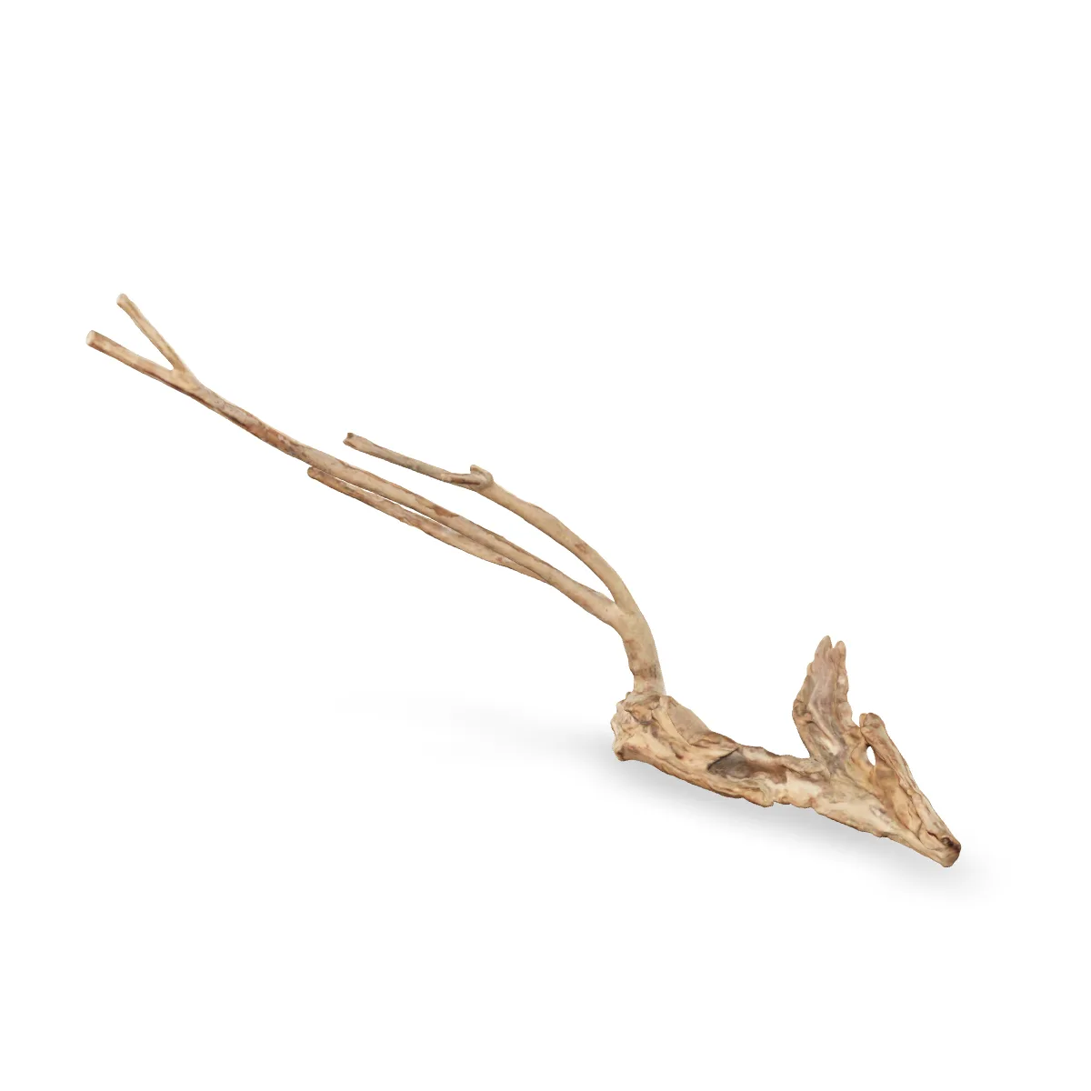 Talawawurzel 3D Nr. 1059 (66x18x18cm)