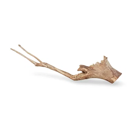 Talawawurzel 3D Nr. 1061 (65x18x11cm)