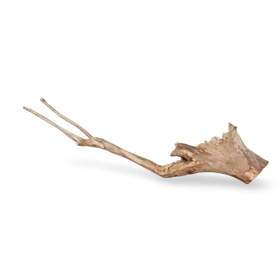 Talawawurzel 3D Nr. 1061 (65x18x11cm)