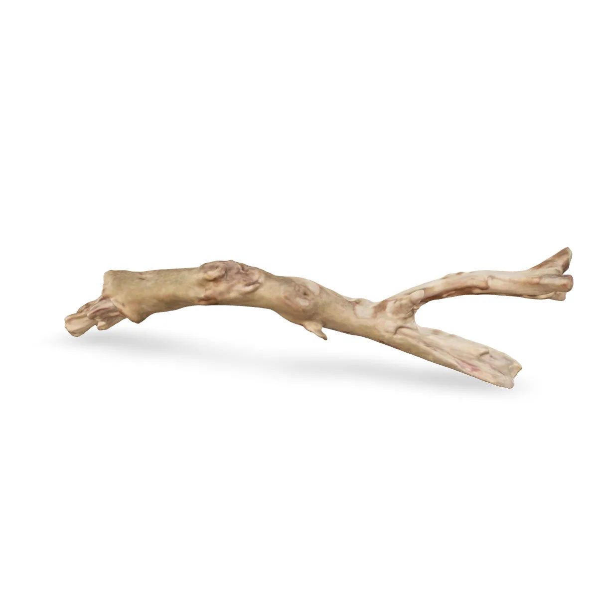 Talawawurzel 3D Nr. 1065 (36x10x5cm)
