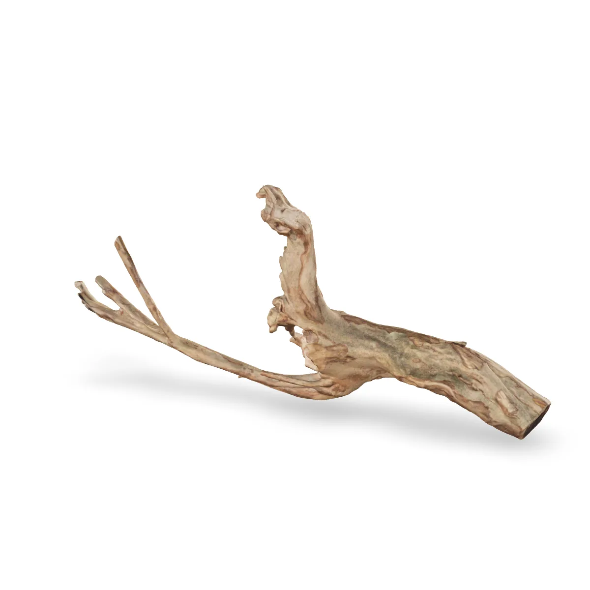 Talawawurzel 3D Nr. 1066 (65x38x14cm)