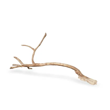 Talawawurzel 3D Nr. 1070 (63x34x11cm)