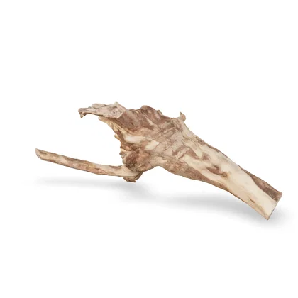 Talawawurzel 3D Nr. 1078 (61x25x15cm)