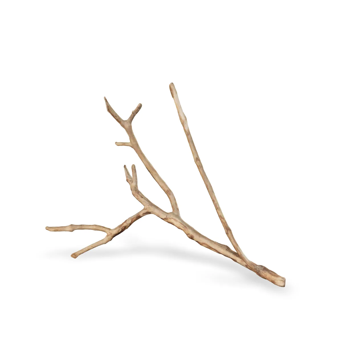 Talawawurzel 3D Nr. 1180 (49x42x16cm)