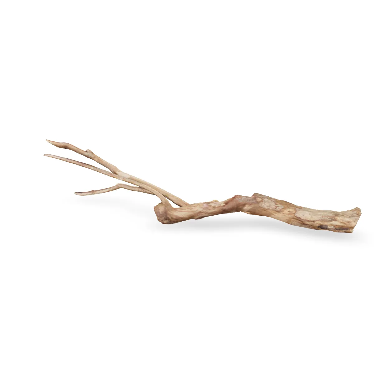 Talawawurzel 3D Nr. 1182 (57x11x11cm)