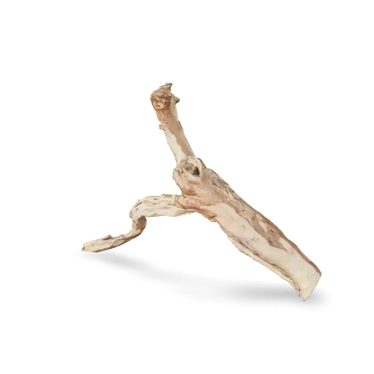 Talawawurzel 3D Nr. 1186 (60x46x13cm)