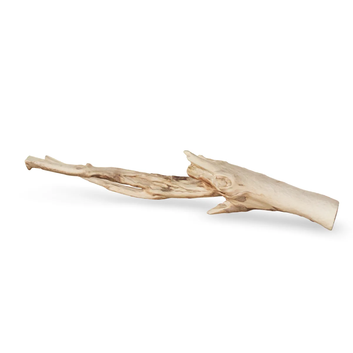 Talawawurzel 3D Nr. 1187 (54x9x10cm)