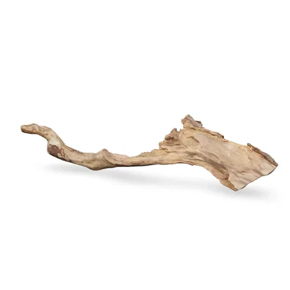Talawawurzel 3D Nr. 1190 (56x15x9cm)