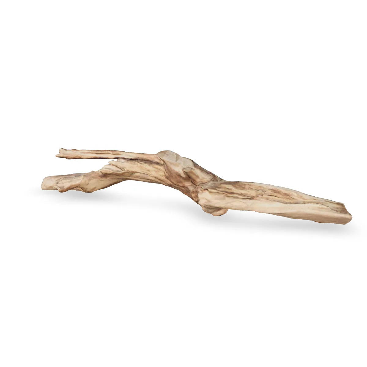 Talawawurzel 3D Nr. 1194 (52x9x9cm)