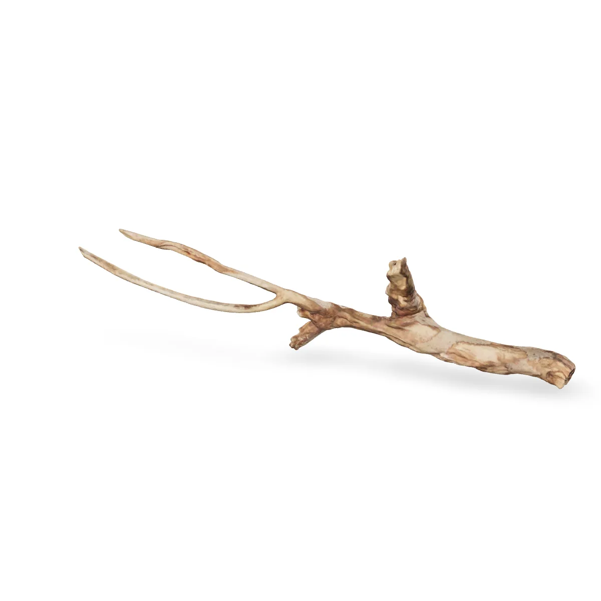 Talawawurzel 3D Nr. 1195 (62x18x7cm)