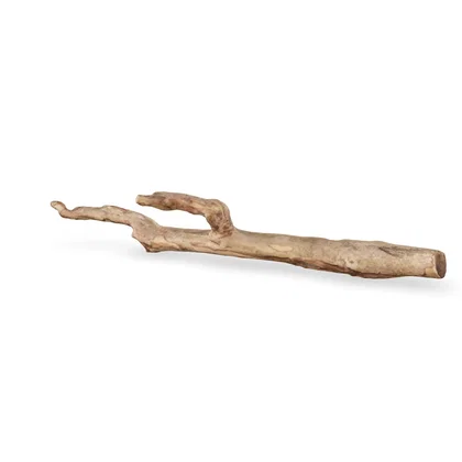 Talawawurzel 3D Nr. 1196 (47x14x5cm)
