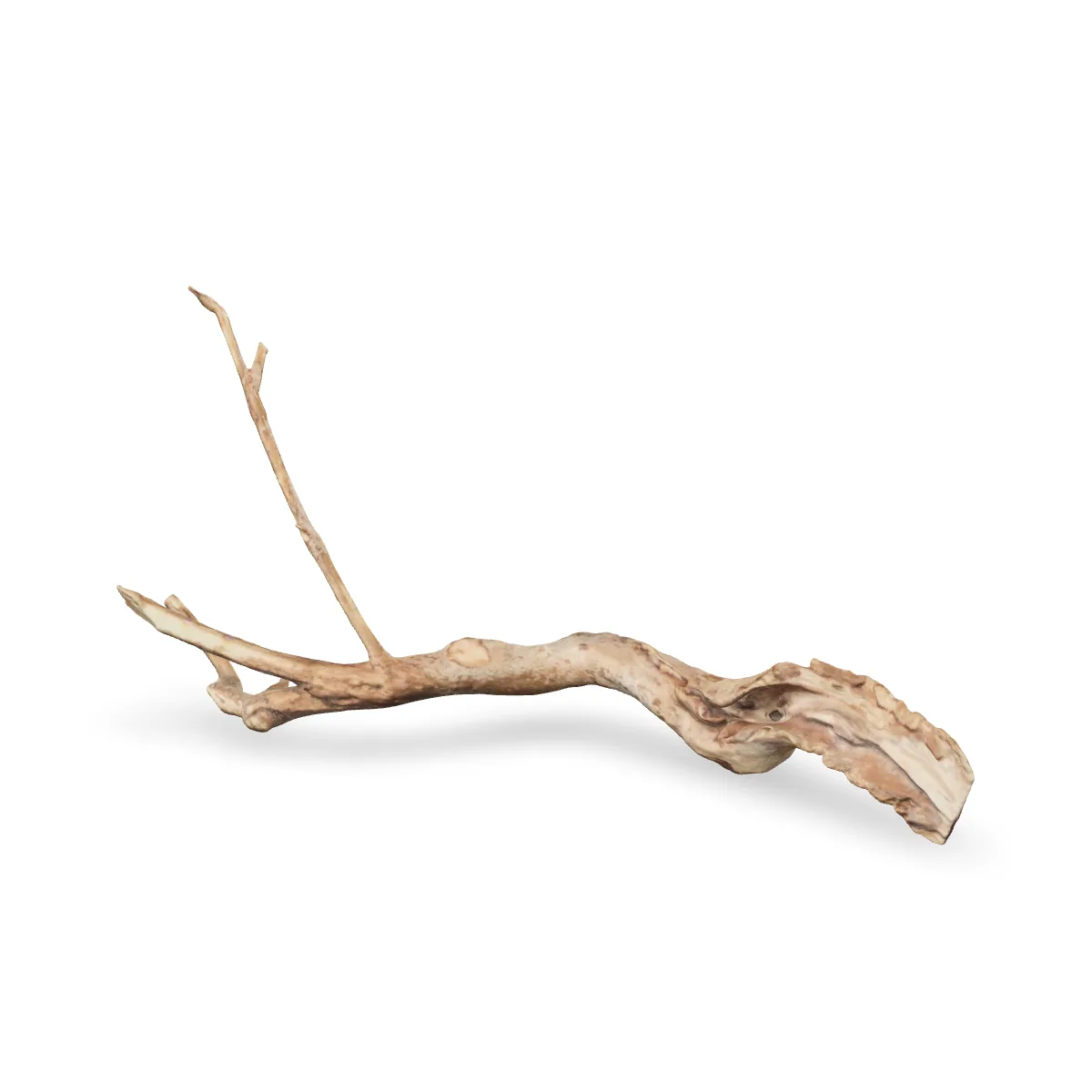 Talawawurzel 3D Nr. 1199 (51x17x16cm)