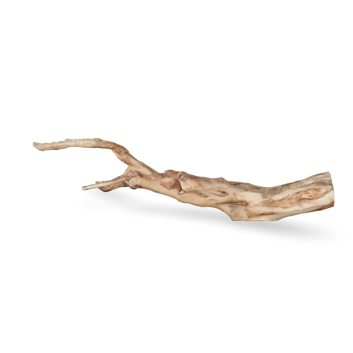 Talawawurzel 3D Nr. 1207 (61x16x9cm)