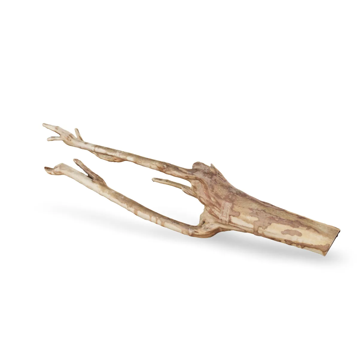Talawawurzel 3D Nr. 1208 (51x17x10cm)