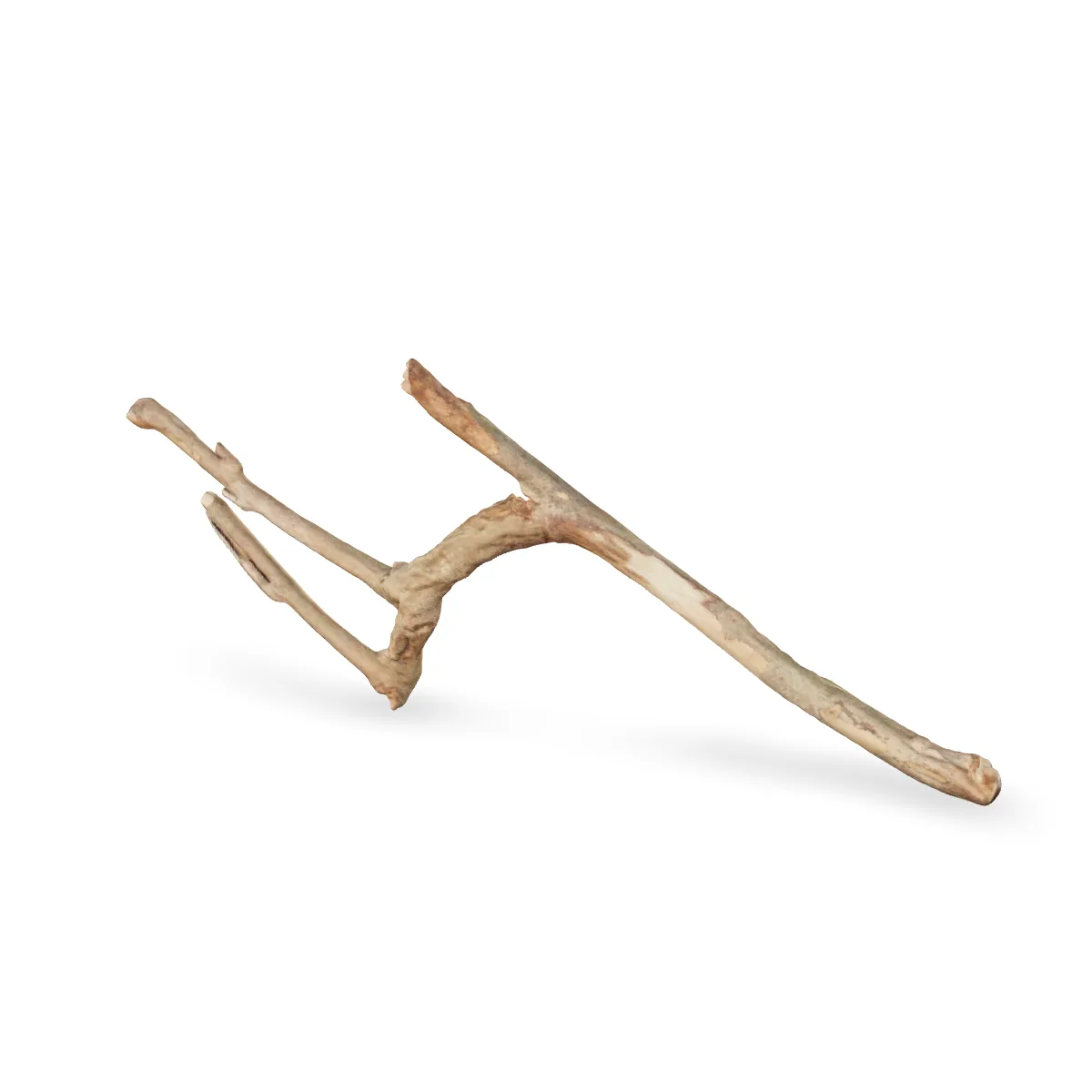 Talawawurzel 3D Nr. 1209 (58x22x8cm)