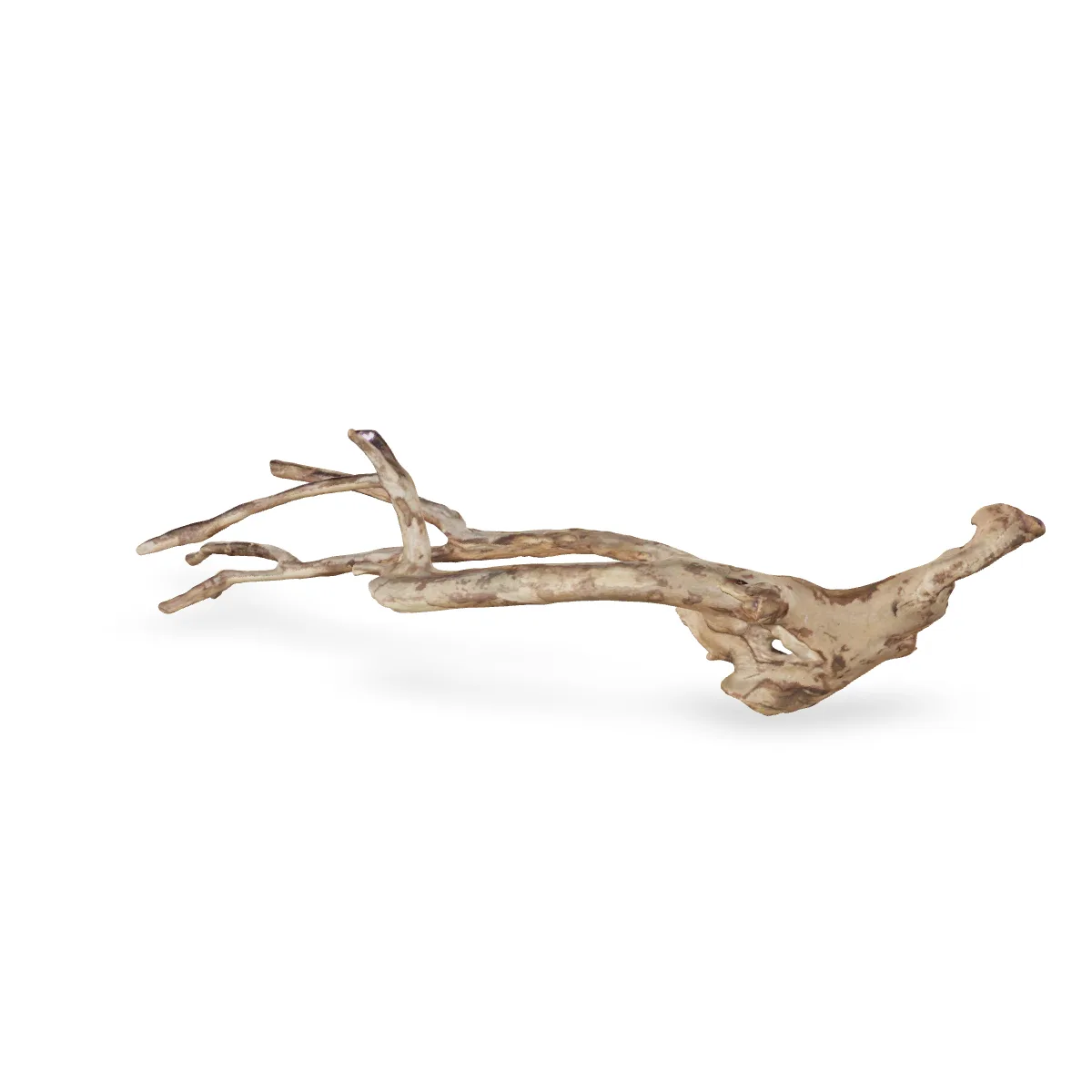 Talawawurzel 3D Nr. 1210 (63x18x15cm)