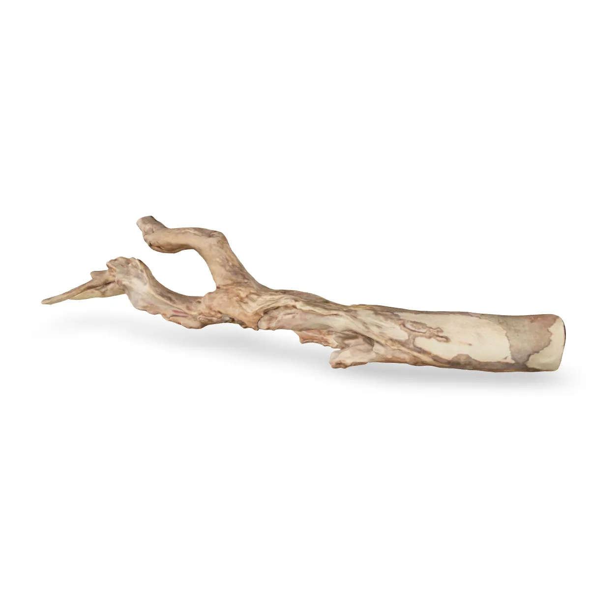 Talawawurzel 3D Nr. 1213 (48x14x10cm)