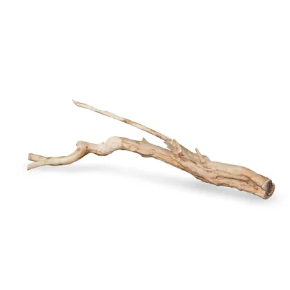 Talawawurzel 3D Nr. 1214 (59x19x9cm)