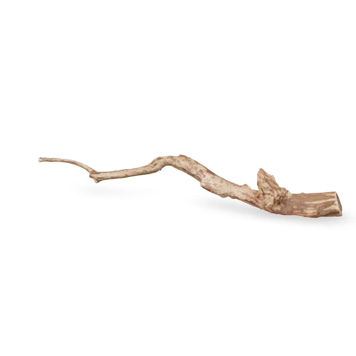Talawawurzel 3D Nr. 1218 (53x8x8cm)