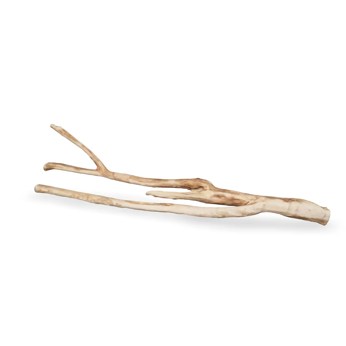 Talawawurzel 3D Nr. 1224 (52x13x9cm)