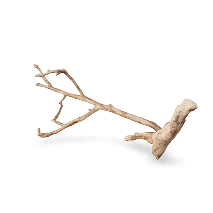 Talawawurzel 3D Nr. 1226 (57x28x21cm)