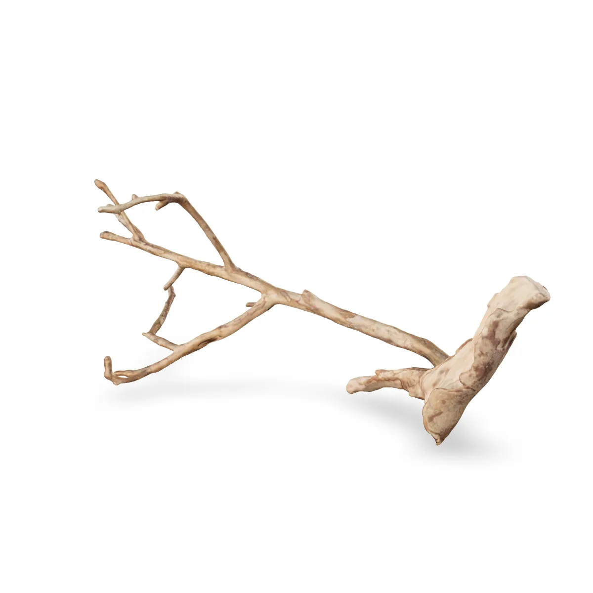 Talawawurzel 3D Nr. 1226 (57x28x21cm)