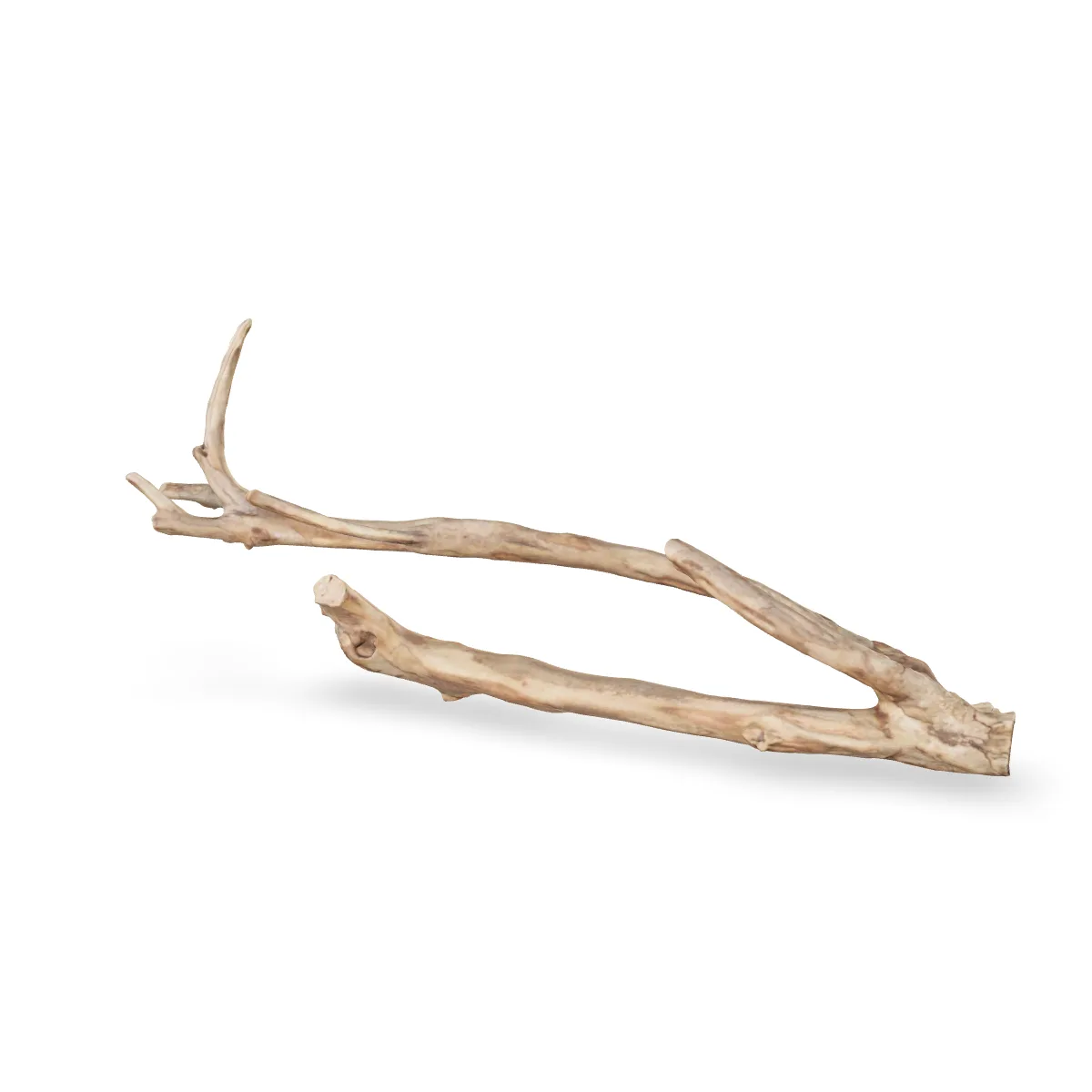 Talawawurzel 3D Nr. 1227 (54x19x8cm)