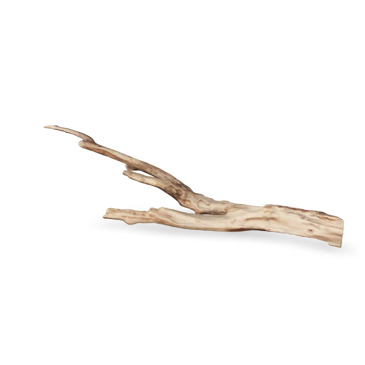 Talawawurzel 3D Nr. 1231 (43x21x13cm)